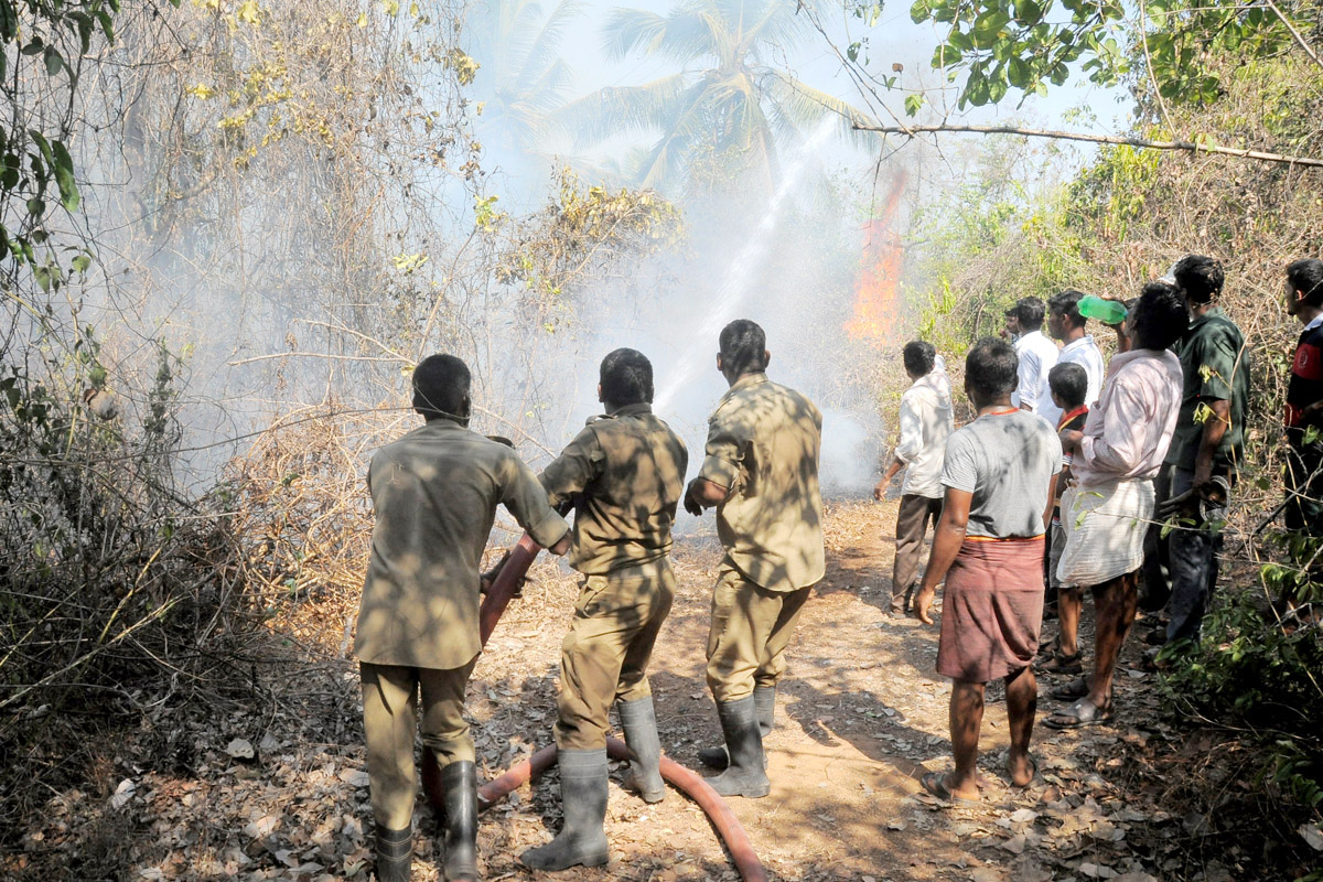 ಬಂಟ್ವಾಳ ಕಾಮಾಜೆಯಲ್ಲಿ ಬೆಂಕಿ ಆಕಸ್ಮಿಕ: ಎಂಟು ಎಕರೆ ಕಂಗು, ತೆಂಗು, ಮರ ಗಿಡ ನಾಶ